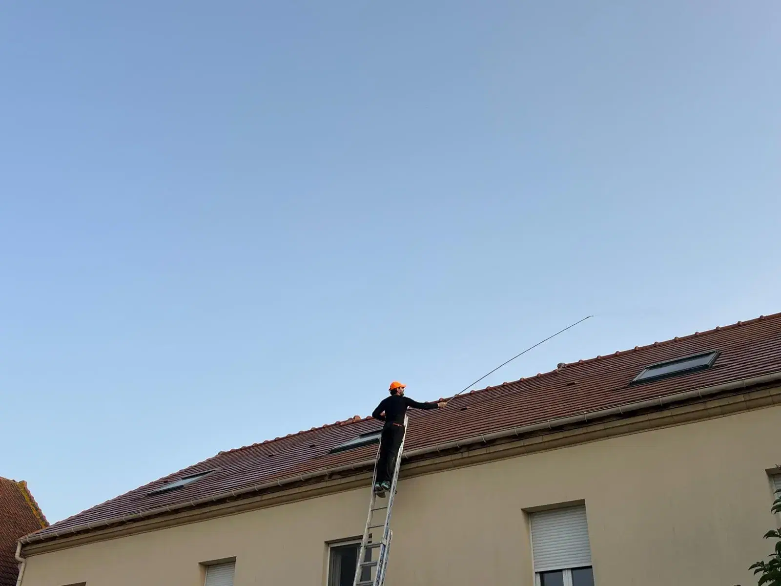 Traitement anti mousse hydrofuge Dalep 2100